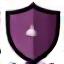 Shield icon